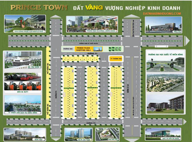 mat-bang-phan-lo-du-an-princetown1.png